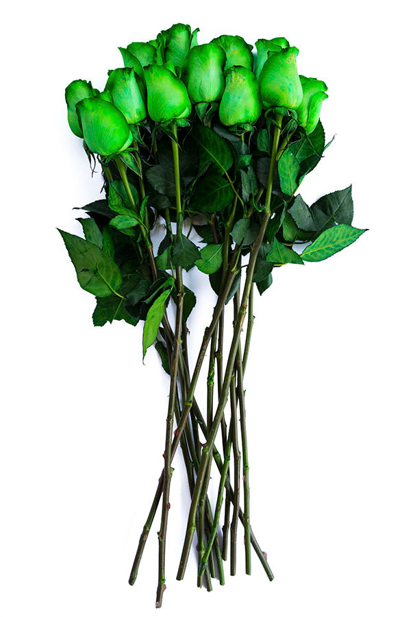 Green Tinted Rose