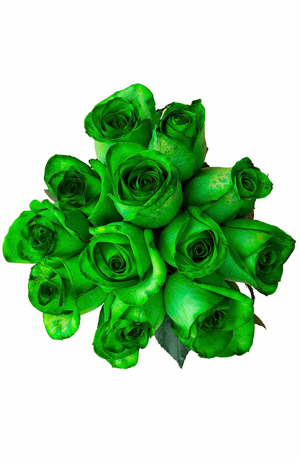 Green Tinted Rose