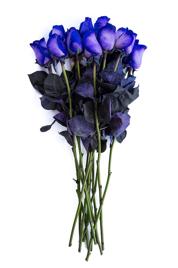 Purple Tinted Roses