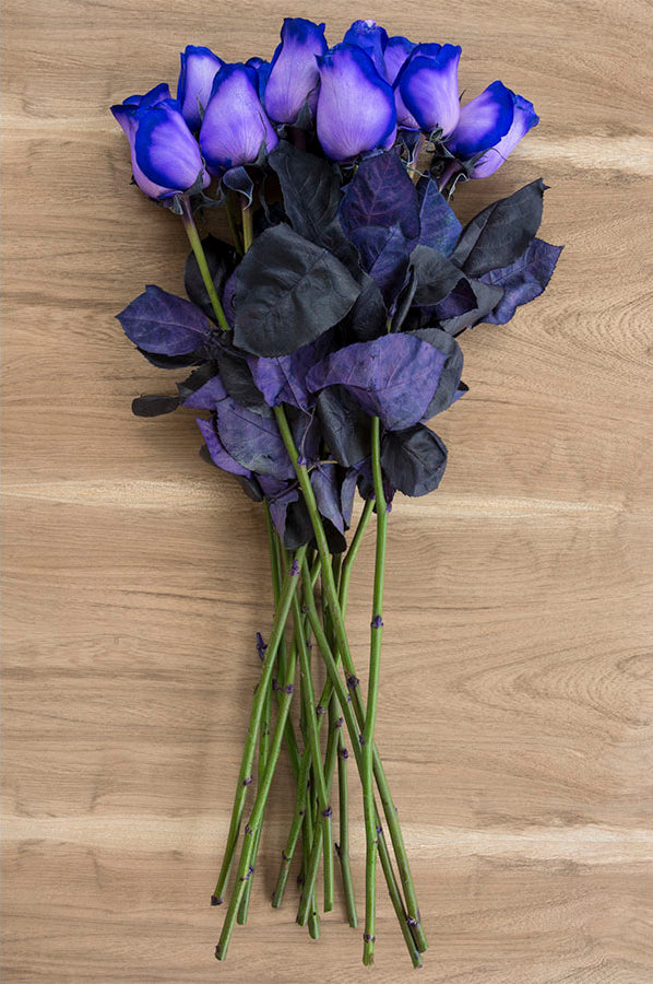 Purple Tinted Roses