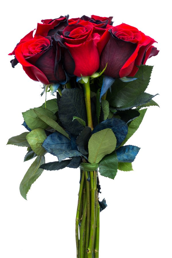 Red and Black Tinted Roses - flowerexplosion.com