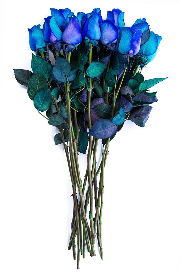 Purple & Blue Tinted Roses