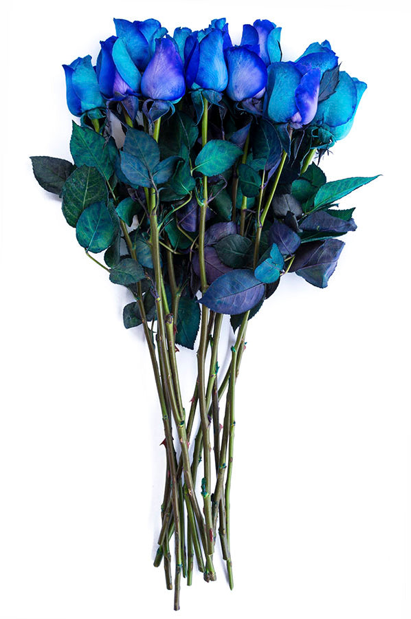 Purple & Blue Tinted Roses