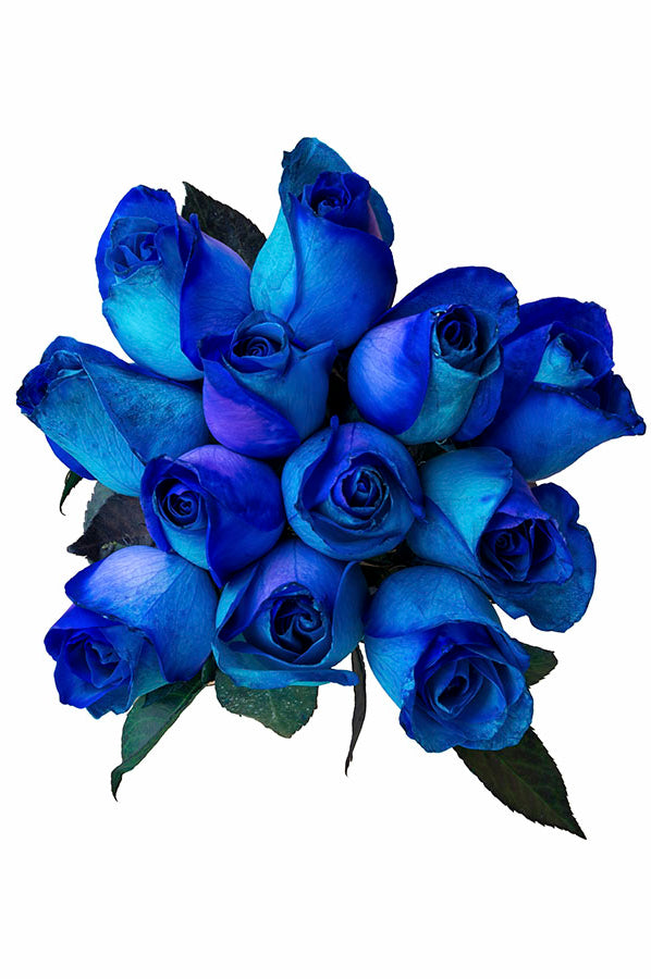 Purple & Blue Tinted Roses