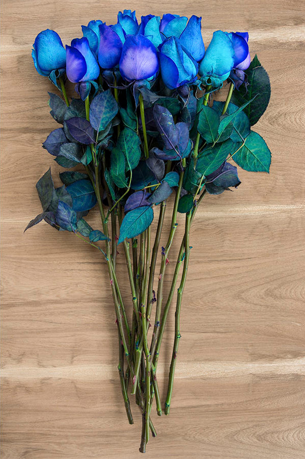 Purple & Blue Tinted Roses