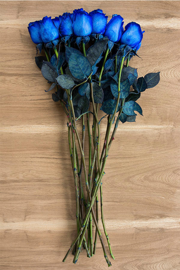Blue Tinted Roses