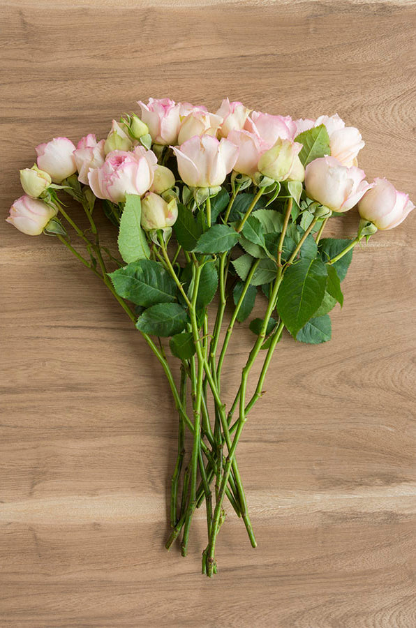 Cream & Light Pink Spray Roses