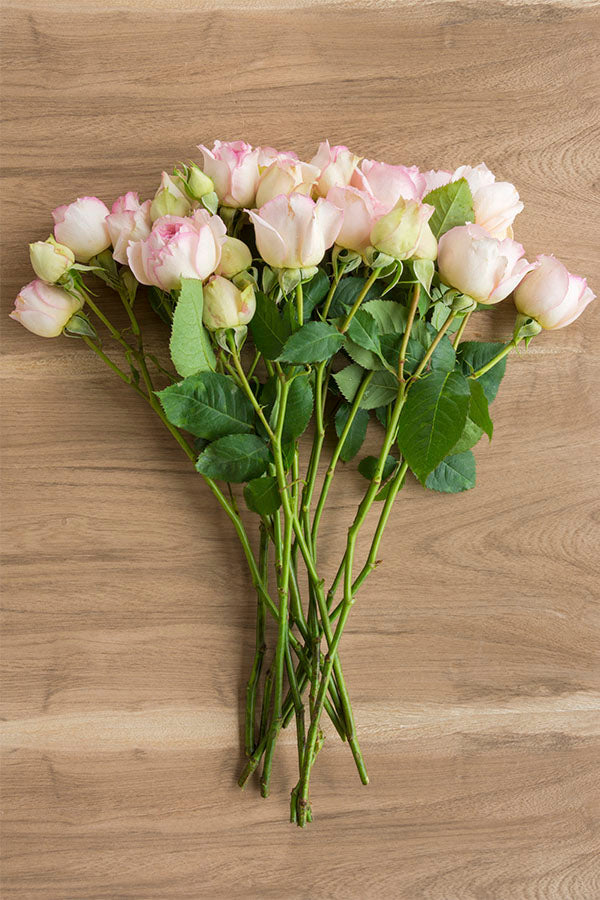 Cream & Light Pink Spray Roses