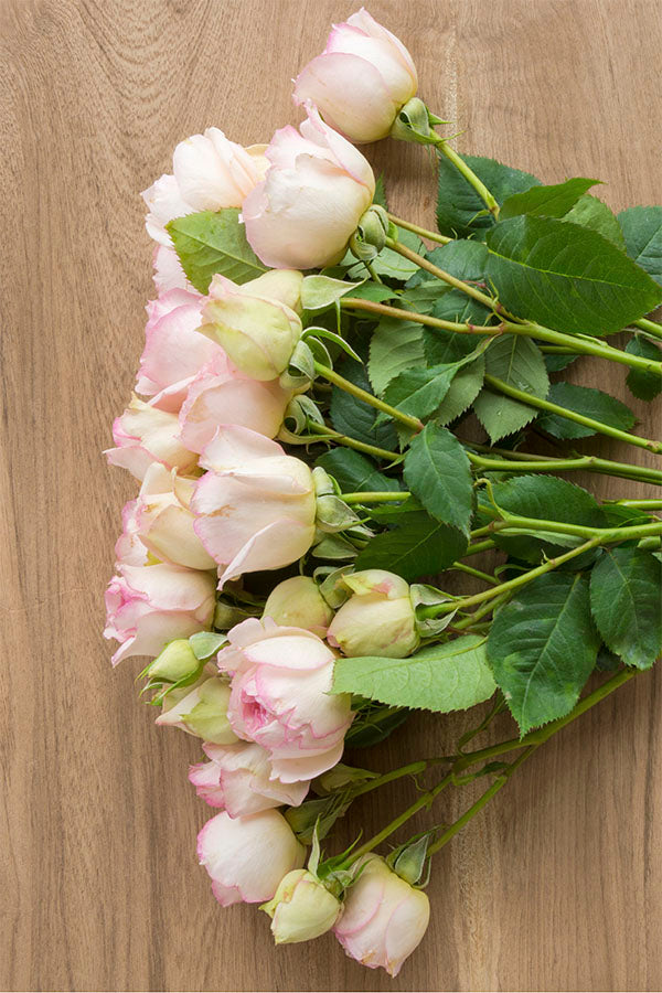 Cream & Light Pink Spray Roses