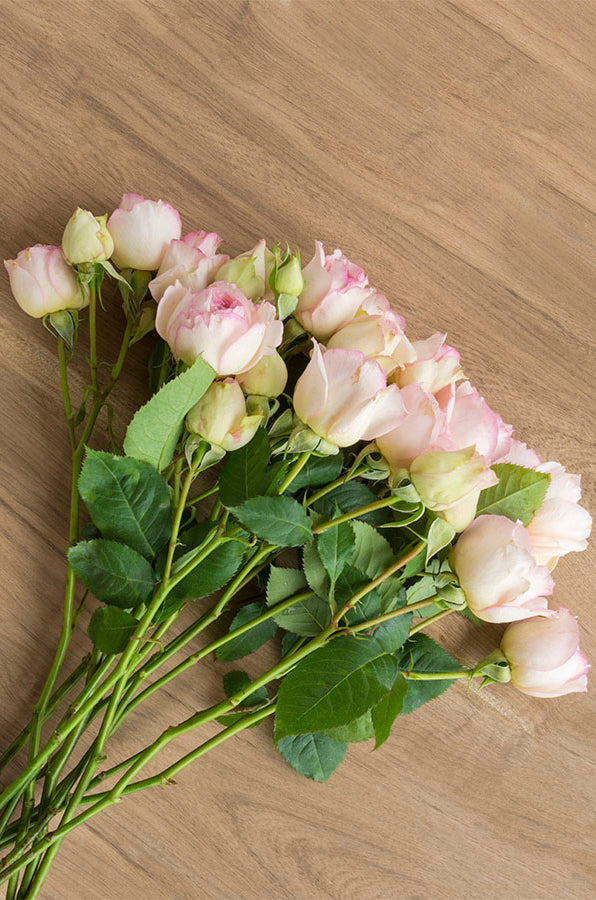 Cream & Light Pink Spray Roses