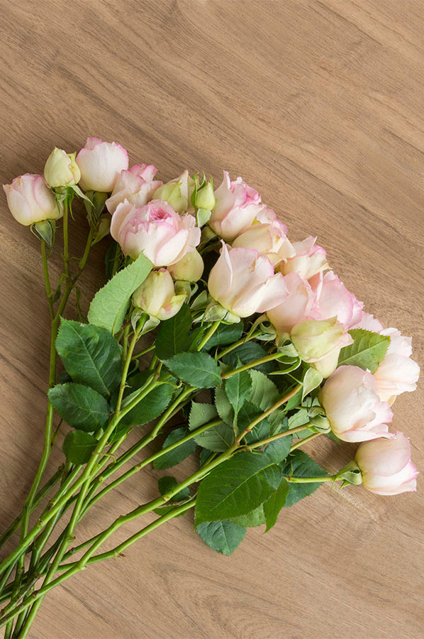 Cream & Light Pink Spray Roses
