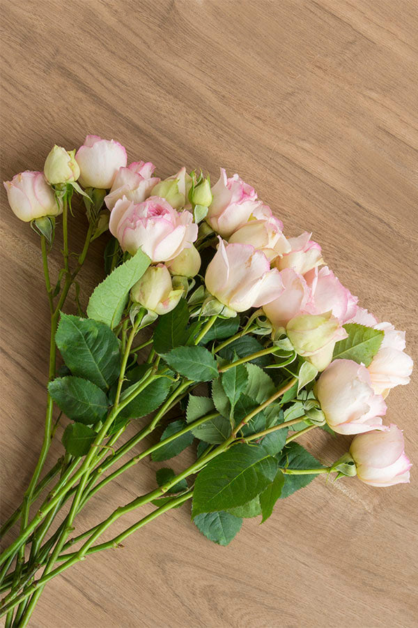 Cream & Light Pink Spray Roses