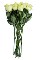Mondial White Rose