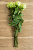 Super Green Garden Rose