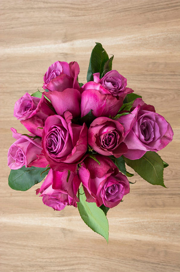 Purple Cezanne Rose