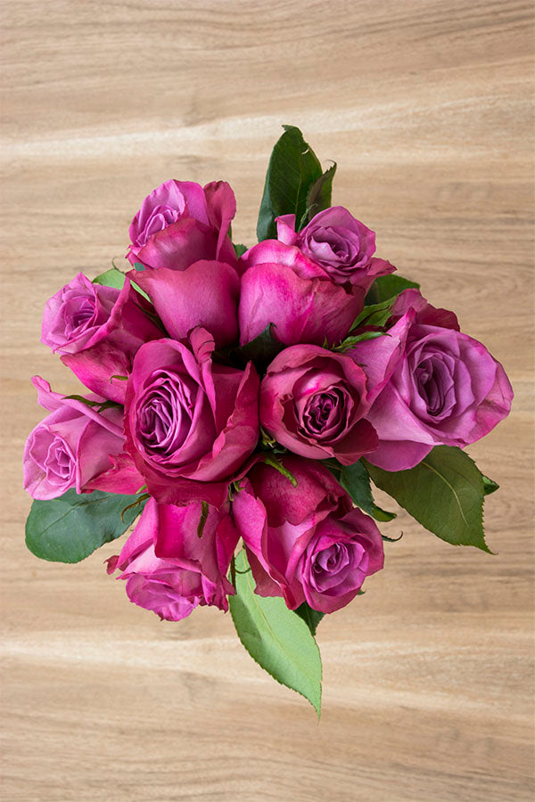 Purple Cezanne Rose