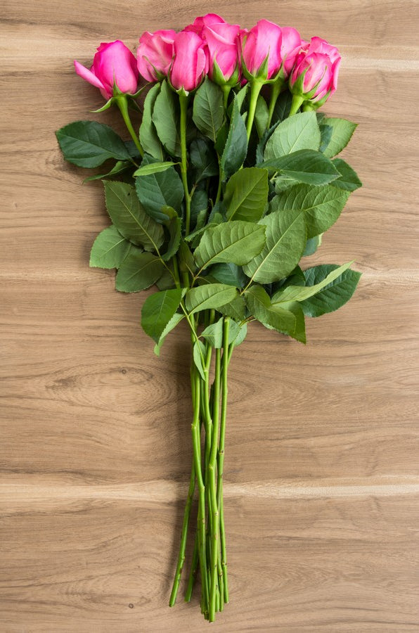 Hot Pink Roses - flowerexplosion.com