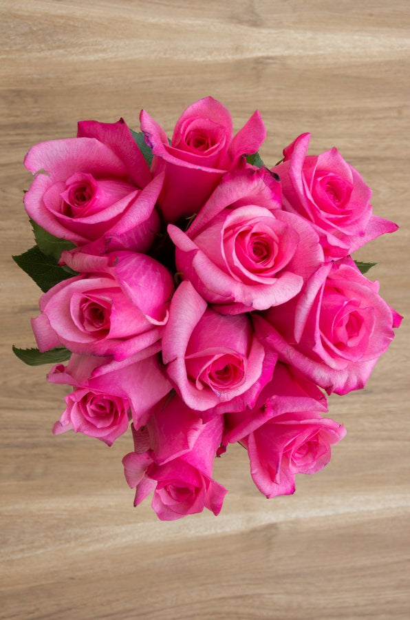 Hot Pink Roses - flowerexplosion.com