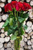 Red Paris Rose
