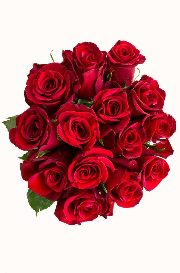 Freedom Red Rose - flowerexplosion.com