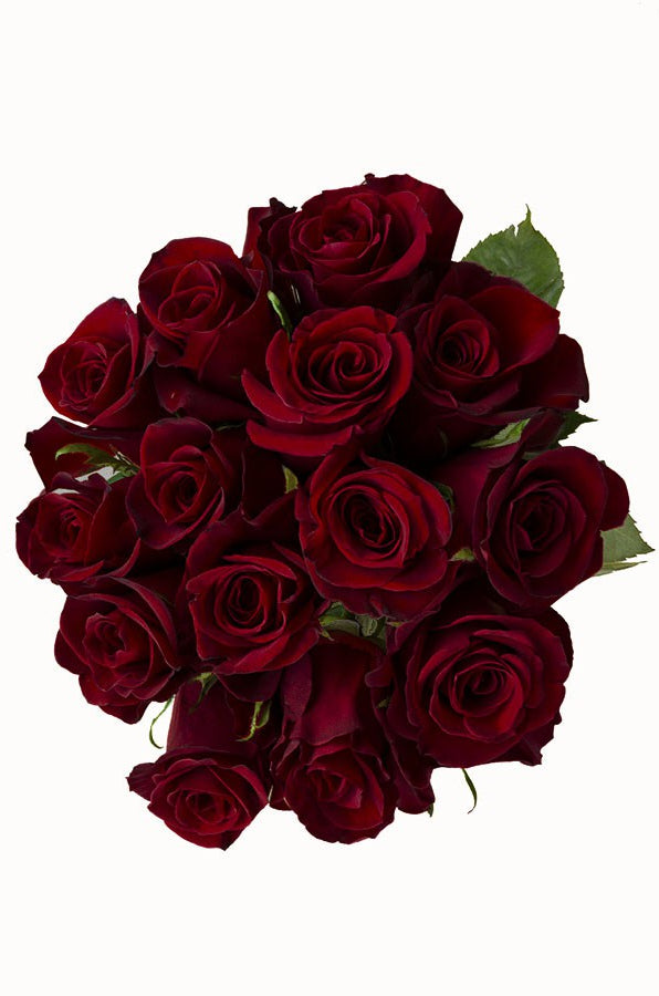 Bunch of Black Baccara Red Roses