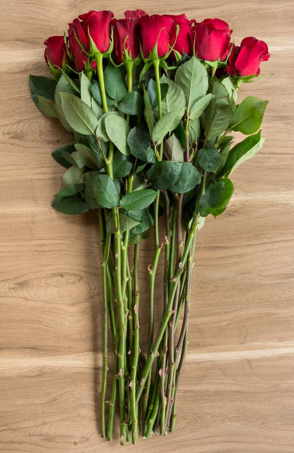 Freedom Red Rose - flowerexplosion.com