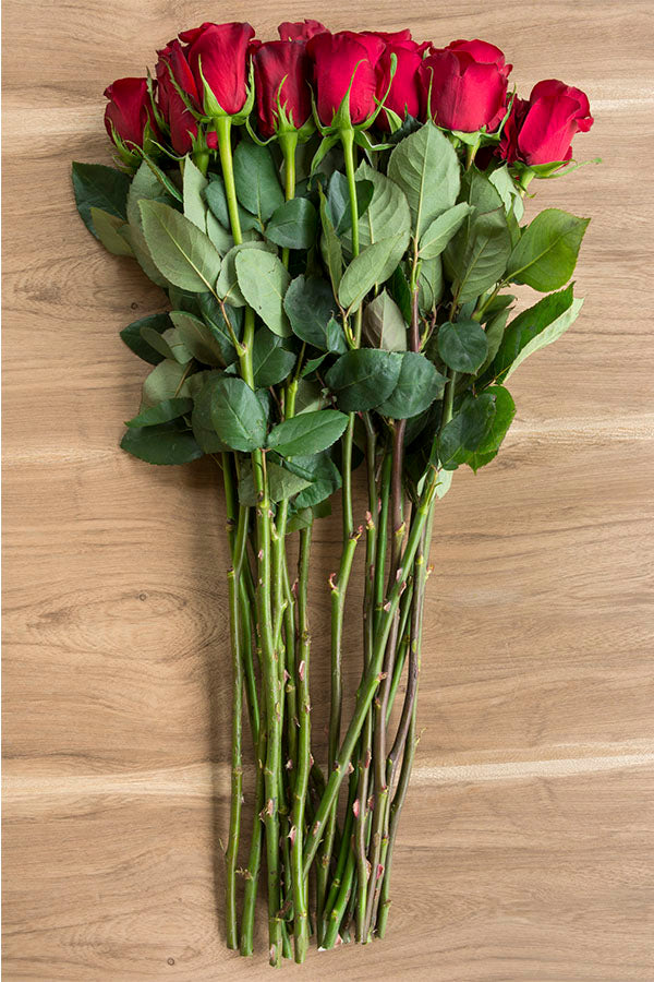 red paris rose stems