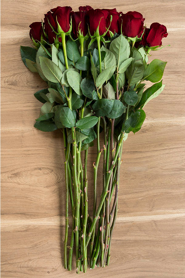 Black Baccara Red Rose Stems