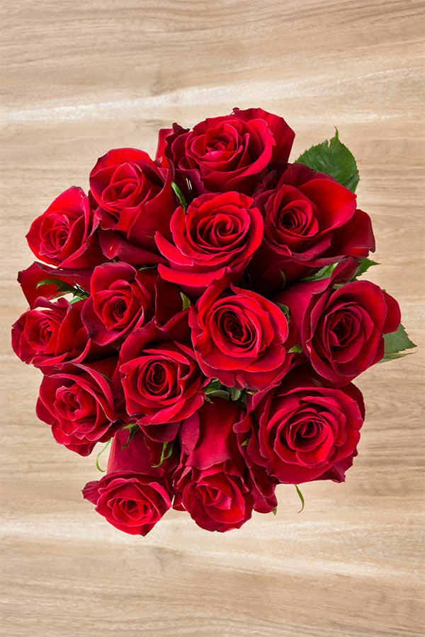 Red Paris Roses Top View