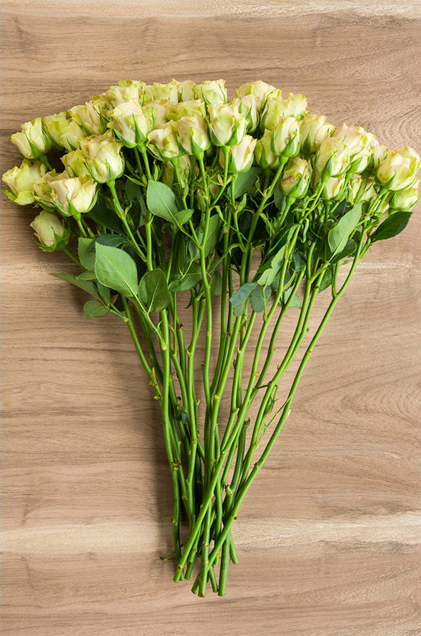 Green Spray Roses - flowerexplosion.com
