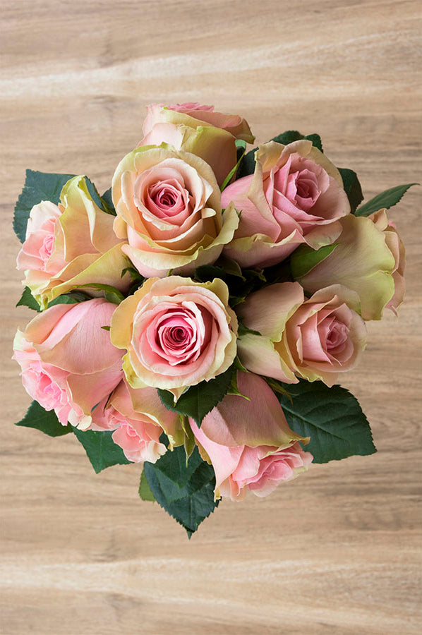 Faith Lavender Antique Rose