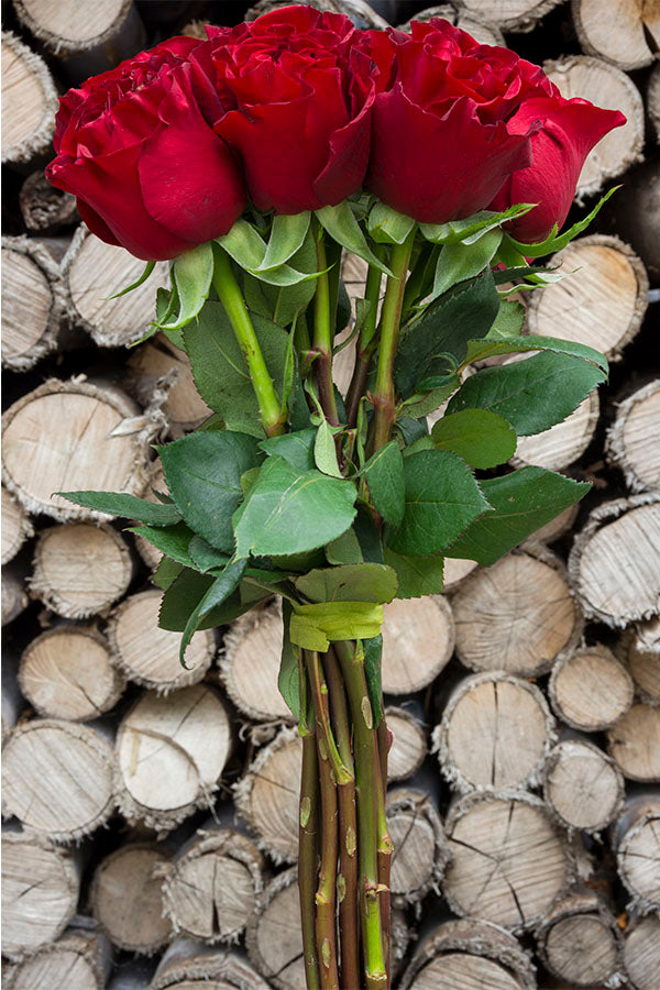 Hearts Red Rose