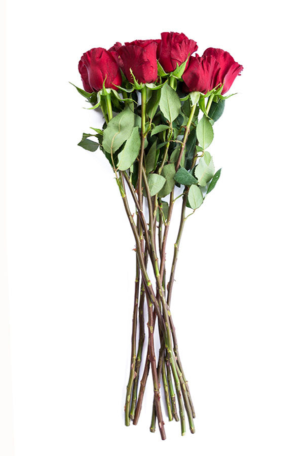 Hearts Red Rose