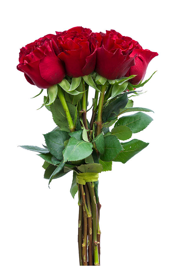 Hearts Red Rose