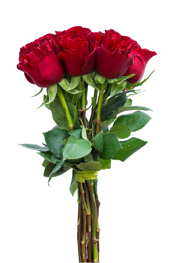 Hearts Red Rose