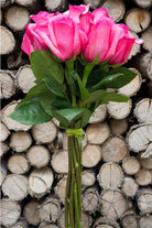 Shocking Versillia Rose