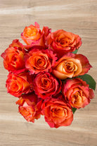 Free Spirit Orange Garden Rose