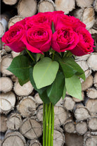 Walzertraum Garden Rose