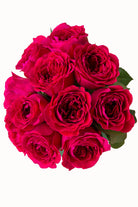 Walzertraum Garden Rose