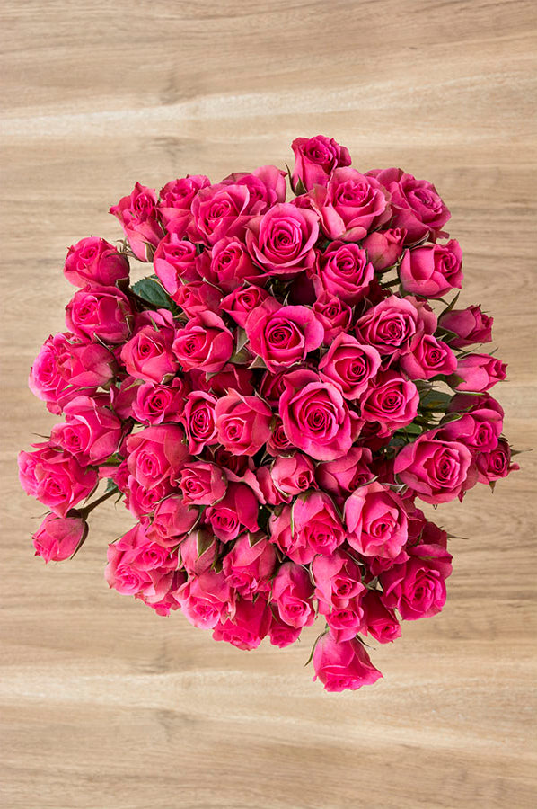 Hot Pink Spray roses