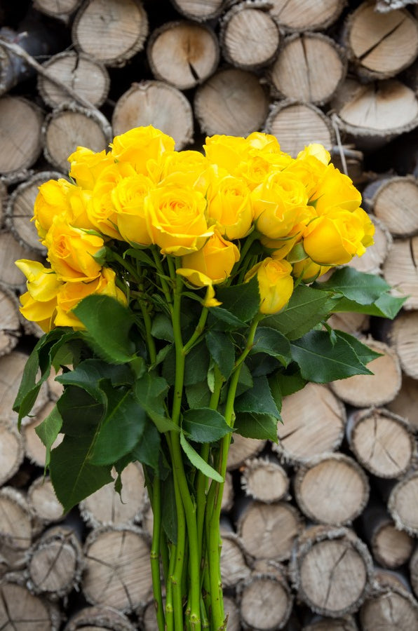 Yellow Spray Roses - flowerexplosion.com