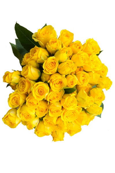 Yellow Spray Roses - flowerexplosion.com
