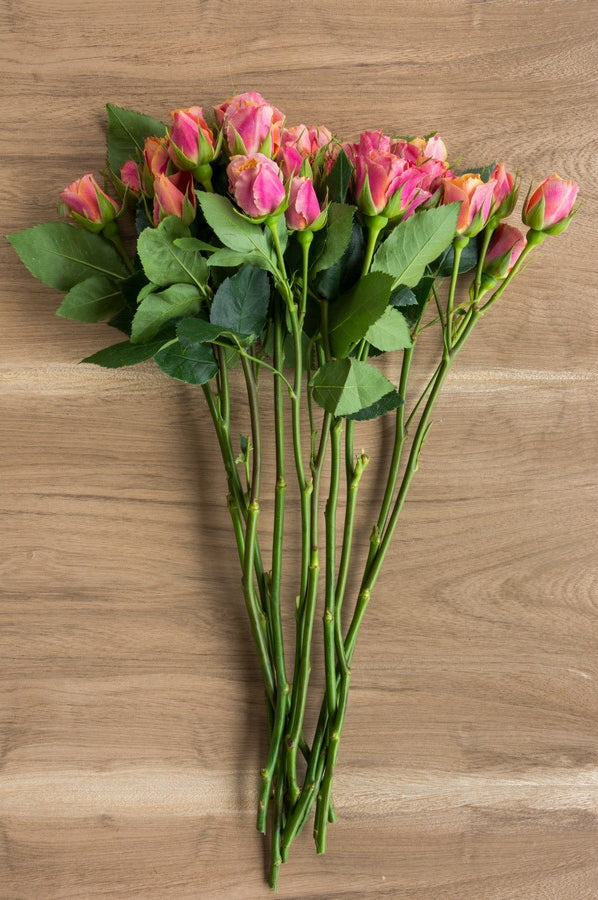 Orange & Peach Spray Roses - Flower Explosion