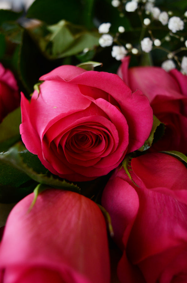 Pink Roses with Gypso Bouquet