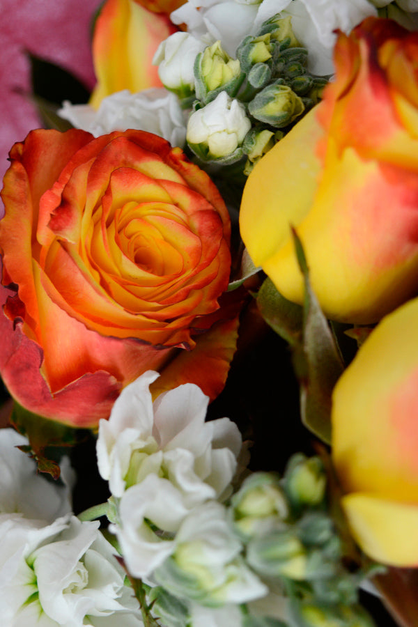 Fire & Ice, Red & Yellow Rose Bouquet