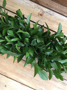 ruscus garland