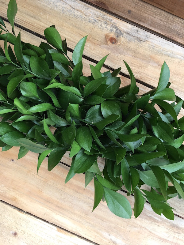 ruscus garland