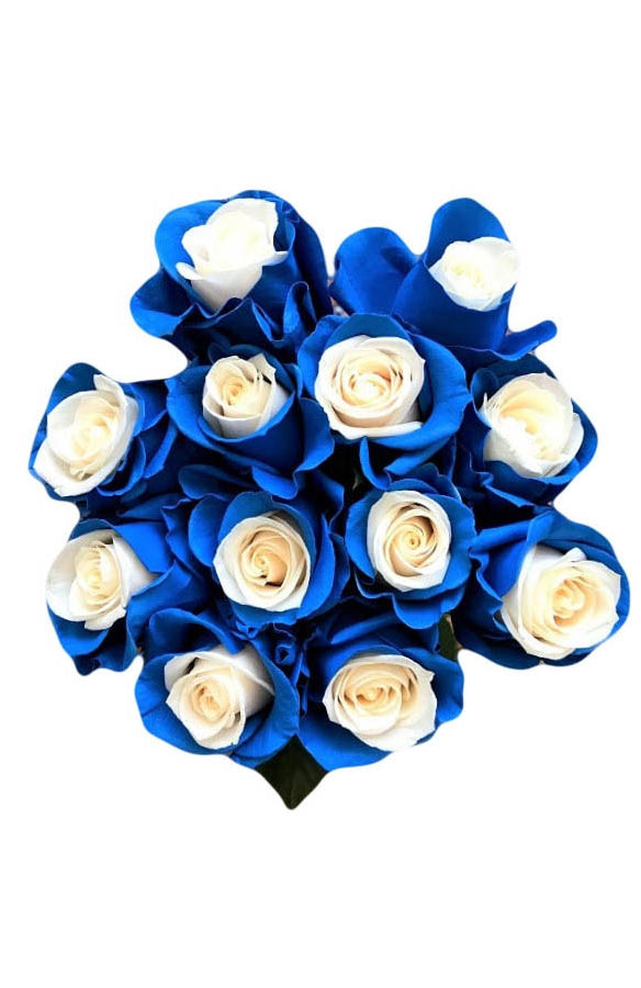blue airbrushed roses