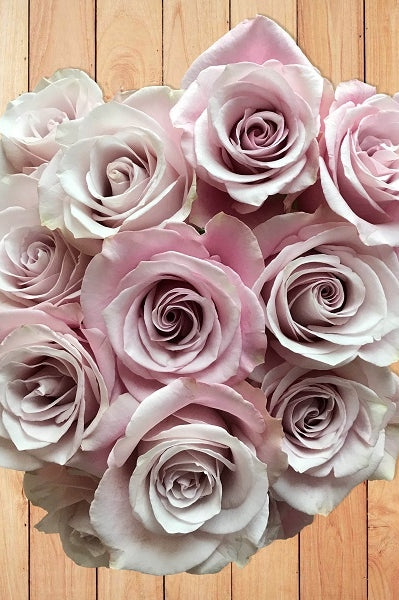 silvery-lavender-roses