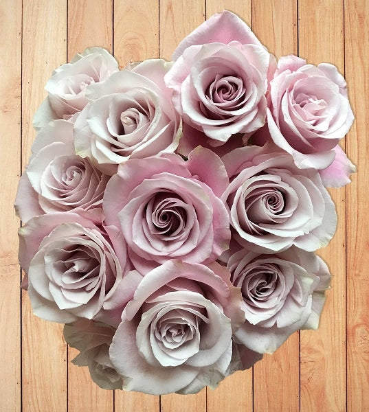 silvery-lavender-roses